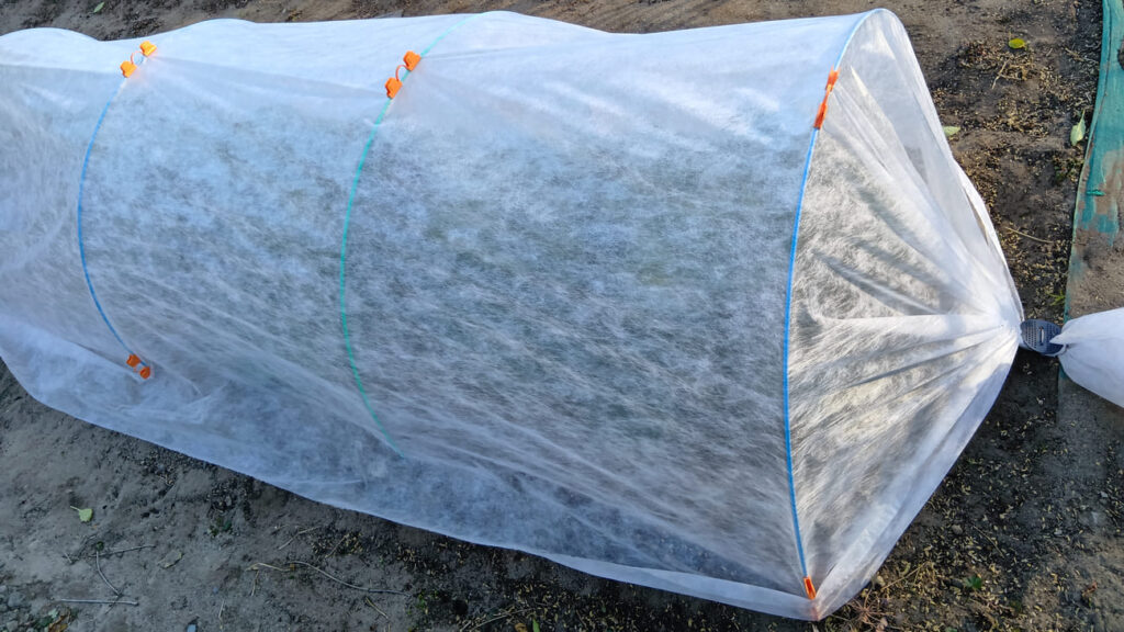 不織布のトンネル掛け