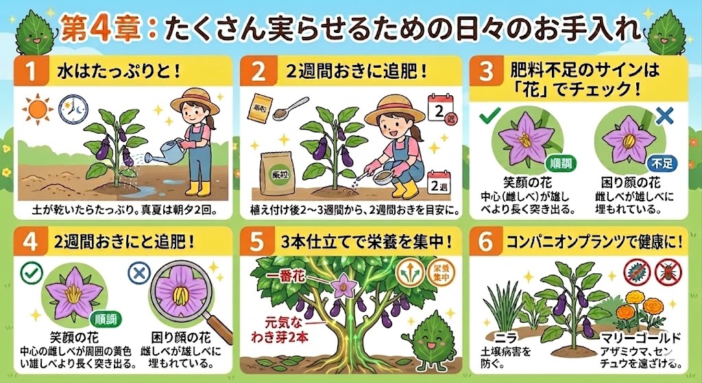 たくさん実らせるための日々のお手入れ