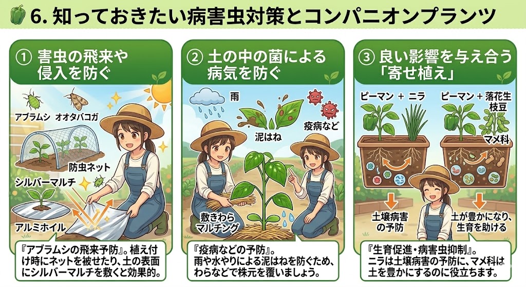 知っておきたい病害虫対策とコンパニオンプランツ