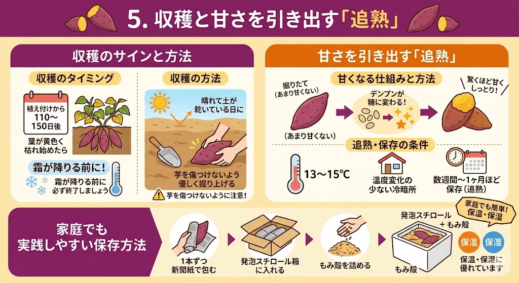 収穫と甘さを引き出す追熟