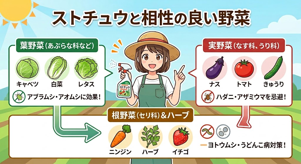 ストチュウの相性の良い野菜