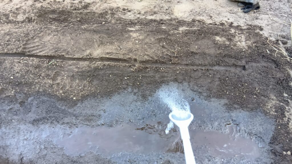 水やり