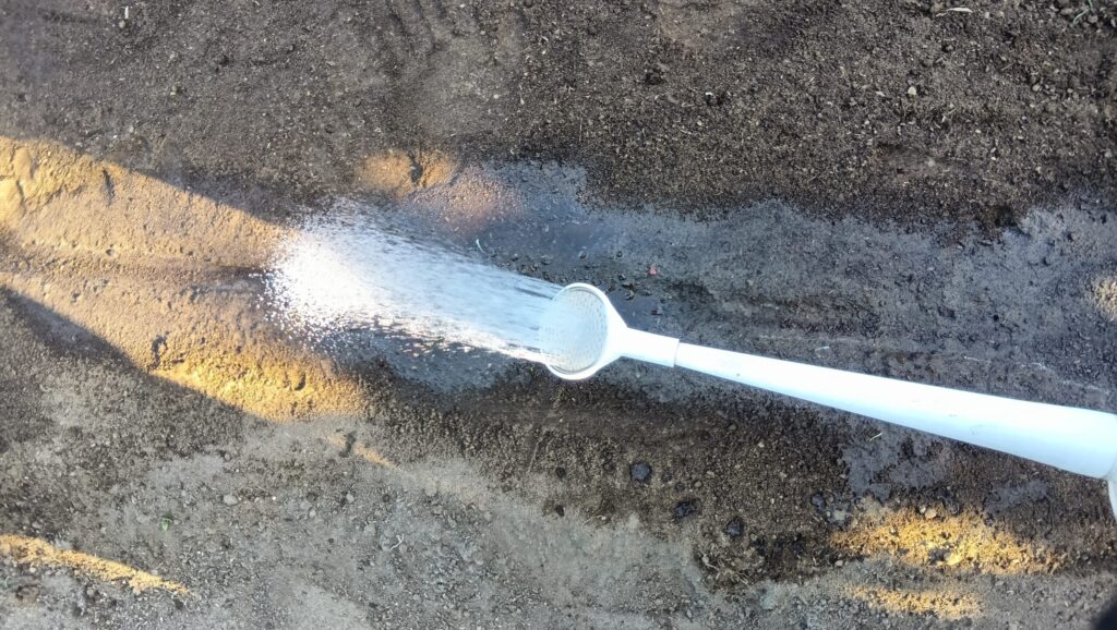 溝への水やり