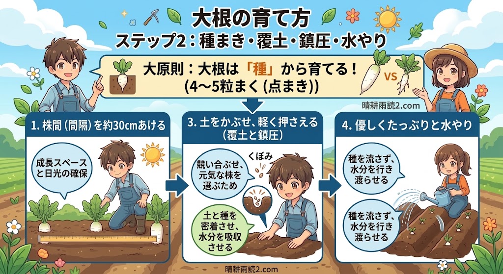 家庭菜園での大根の種まき作業の様子